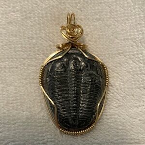 Fossil Pendant with Gold Wire Wrap